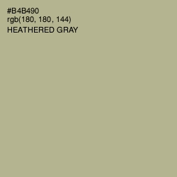 #B4B490 - Heathered Gray Color Image